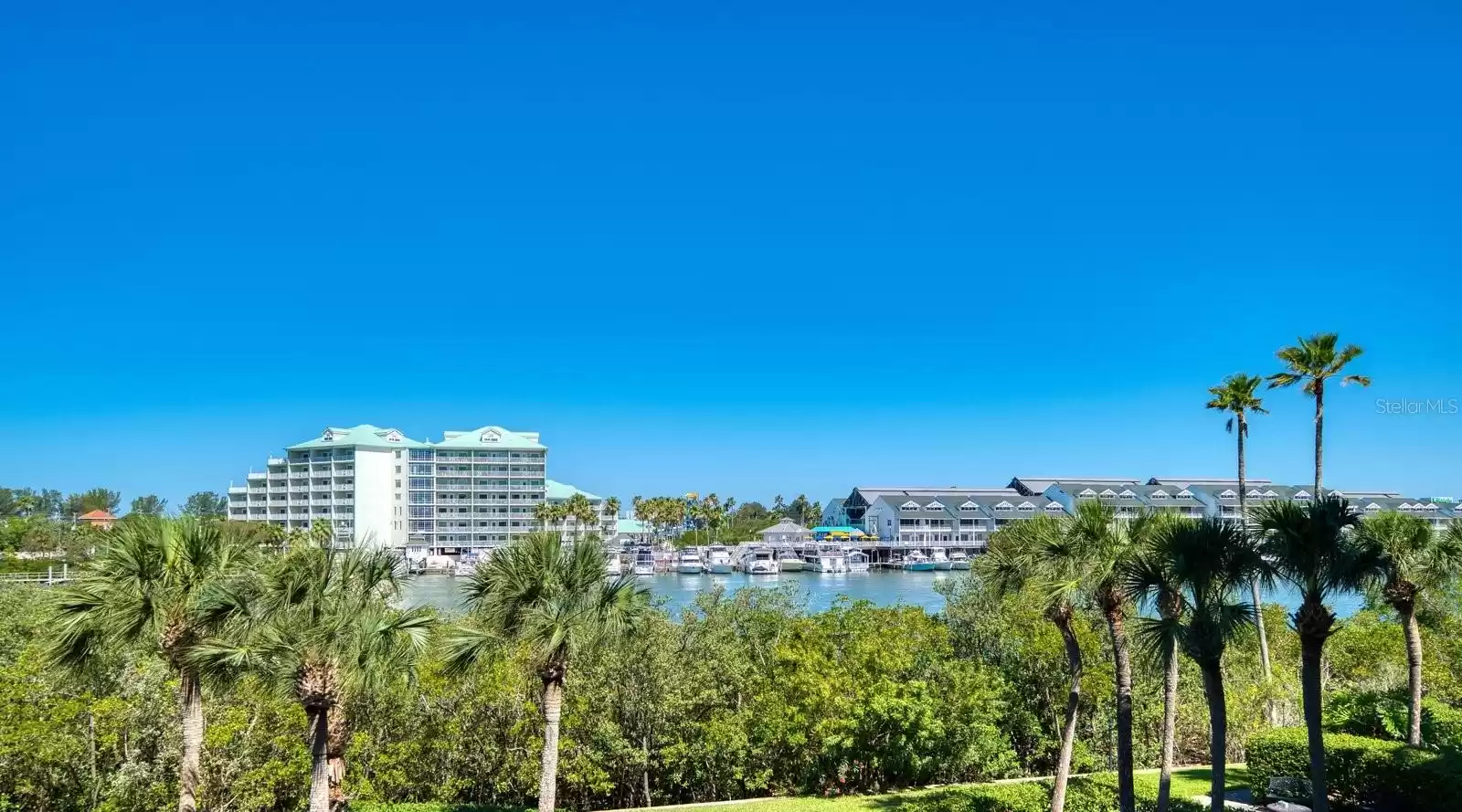 #305 Patio View facing the Gulf of Mexico