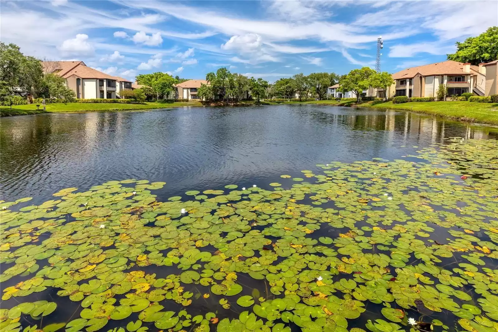 10265 GANDY BOULEVARD, ST PETERSBURG, Florida 33702, 1 Bedroom Bedrooms, ,1 BathroomBathrooms,Residential,For Sale,GANDY,MFRU8212168