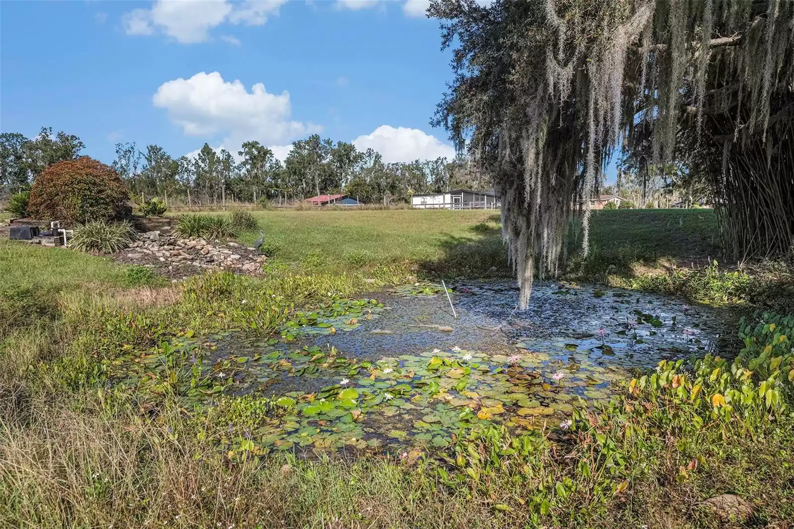 331 LEWIS ROAD, LITHIA, Florida 33547, 6 Bedrooms Bedrooms, ,4 BathroomsBathrooms,Residential,For Sale,LEWIS,MFRT3483077