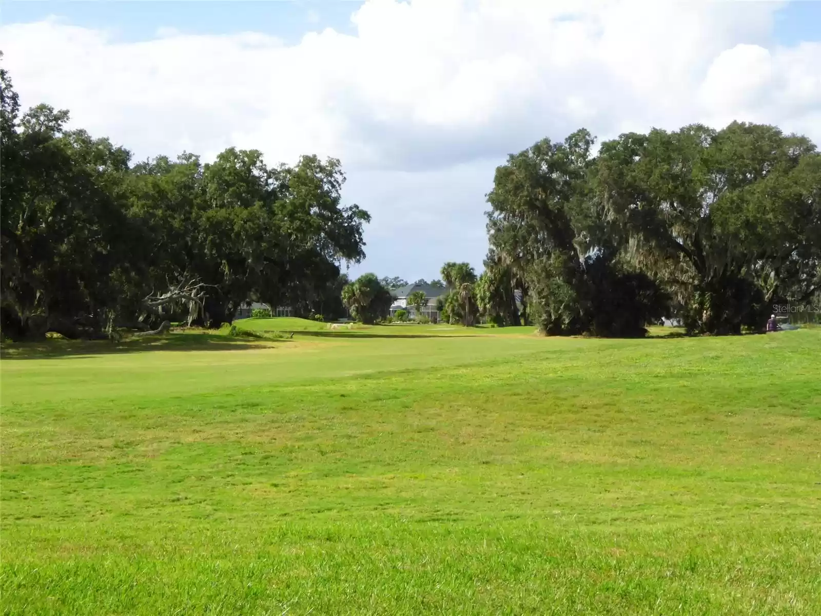 backyard view of 15th fairway