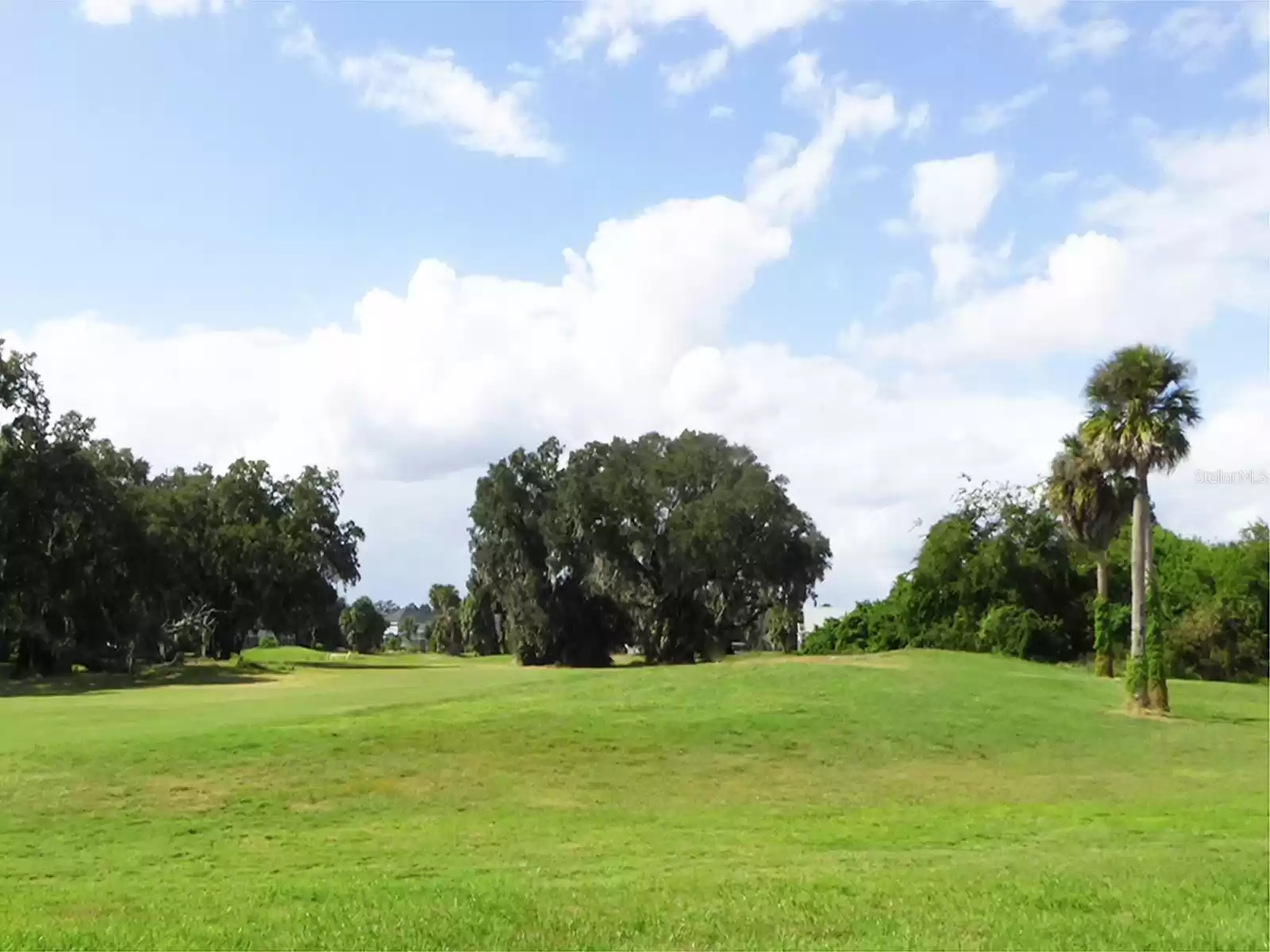 View of 15th Fairway from back of home