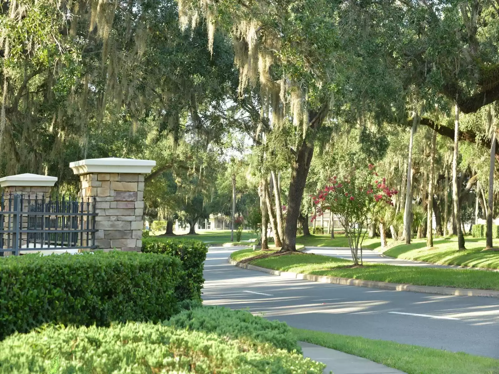 Road into The Oaks