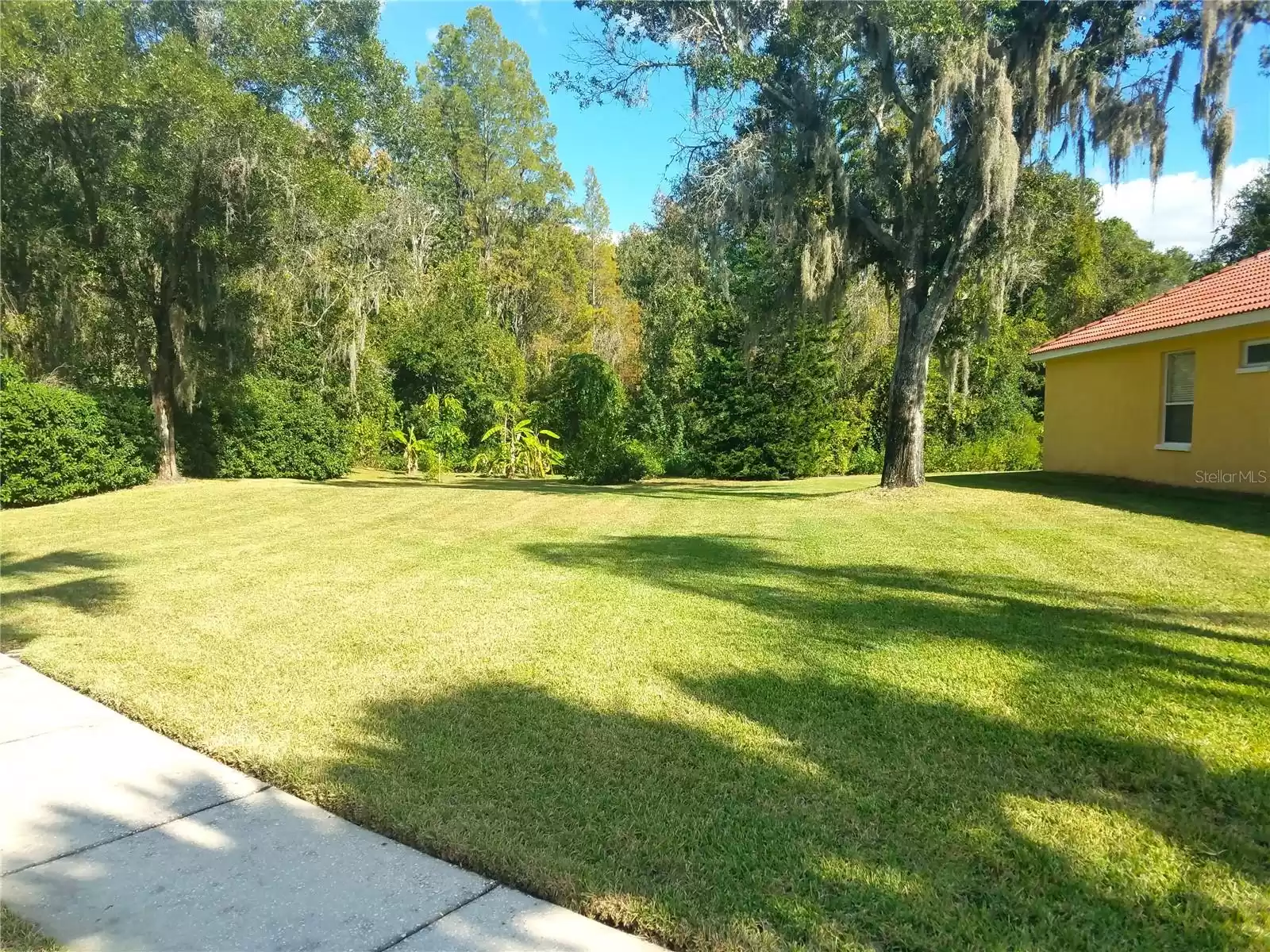 9253 BRINDLEWOOD DRIVE, ODESSA, Florida 33556, 4 Bedrooms Bedrooms, ,3 BathroomsBathrooms,Residential,For Sale,BRINDLEWOOD,MFRU8220364