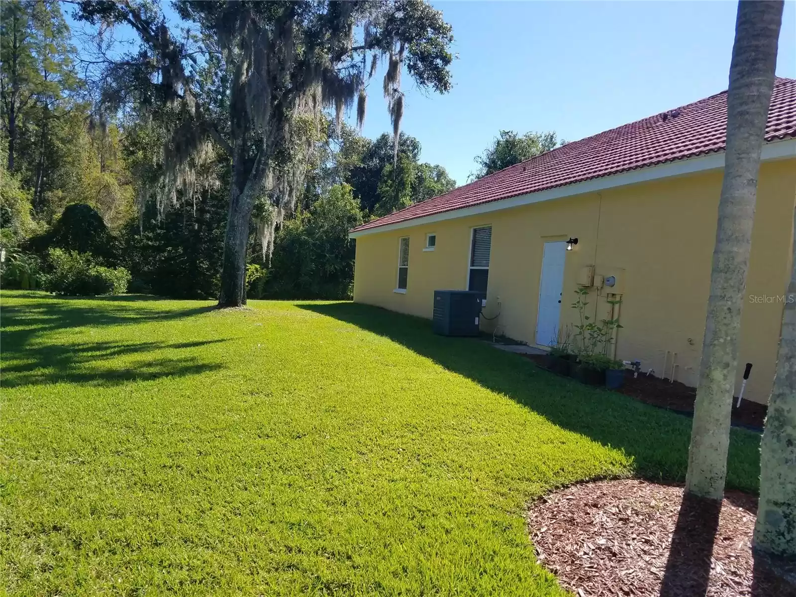 9253 BRINDLEWOOD DRIVE, ODESSA, Florida 33556, 4 Bedrooms Bedrooms, ,3 BathroomsBathrooms,Residential,For Sale,BRINDLEWOOD,MFRU8220364