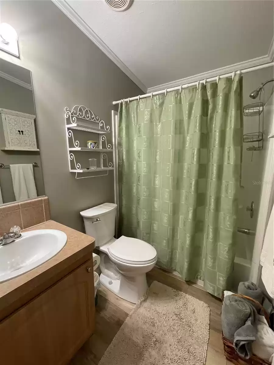 Guest Bathroom