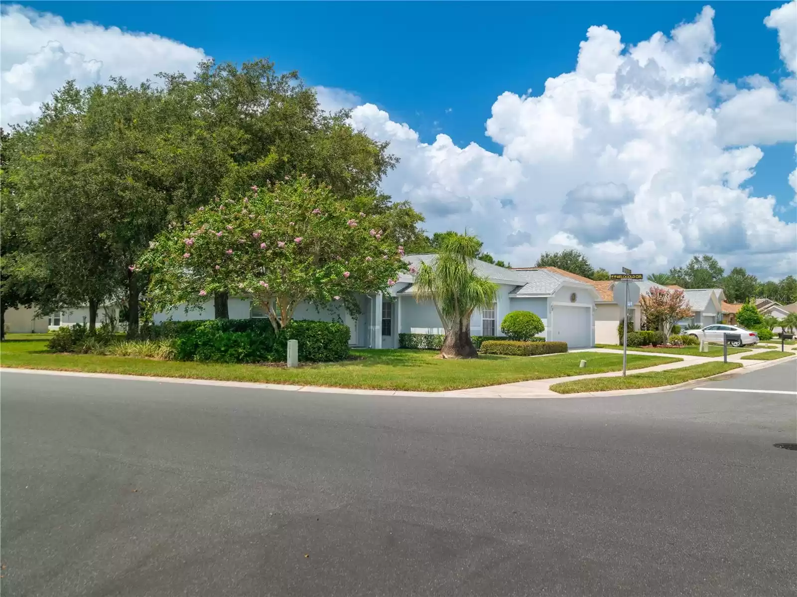 20538 HOMOSSASA COURT, LAND O LAKES, Florida 34637, 3 Bedrooms Bedrooms, ,2 BathroomsBathrooms,Residential,For Sale,HOMOSSASA,MFRT3466279