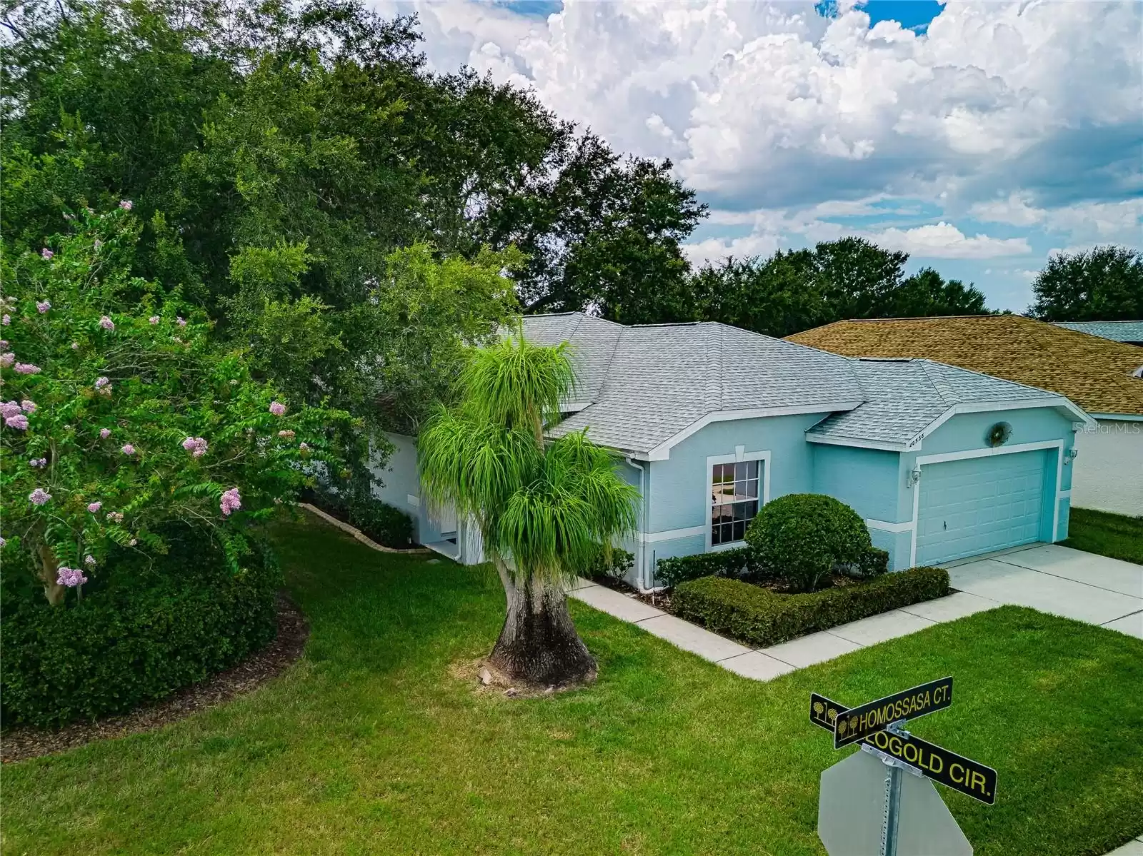 20538 HOMOSSASA COURT, LAND O LAKES, Florida 34637, 3 Bedrooms Bedrooms, ,2 BathroomsBathrooms,Residential,For Sale,HOMOSSASA,MFRT3466279