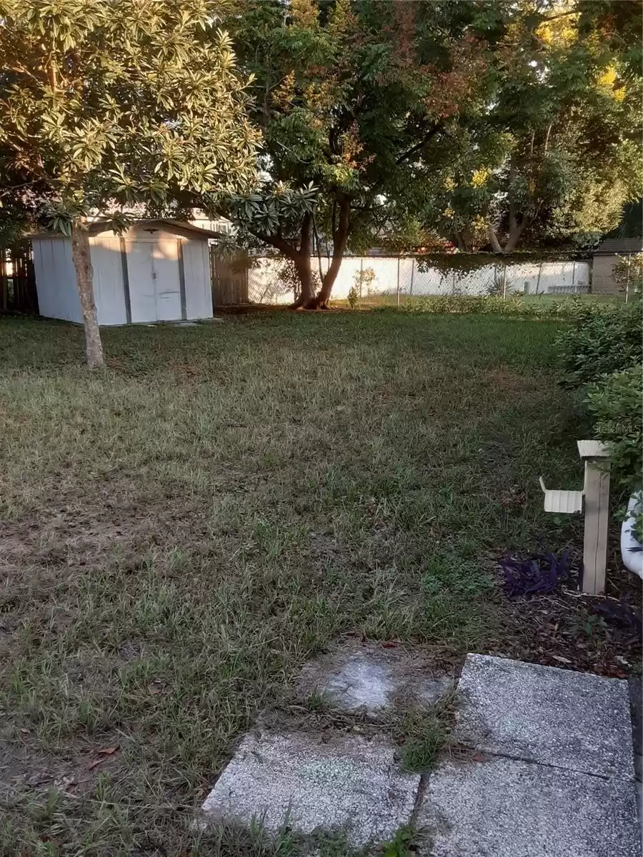 shed in back yard