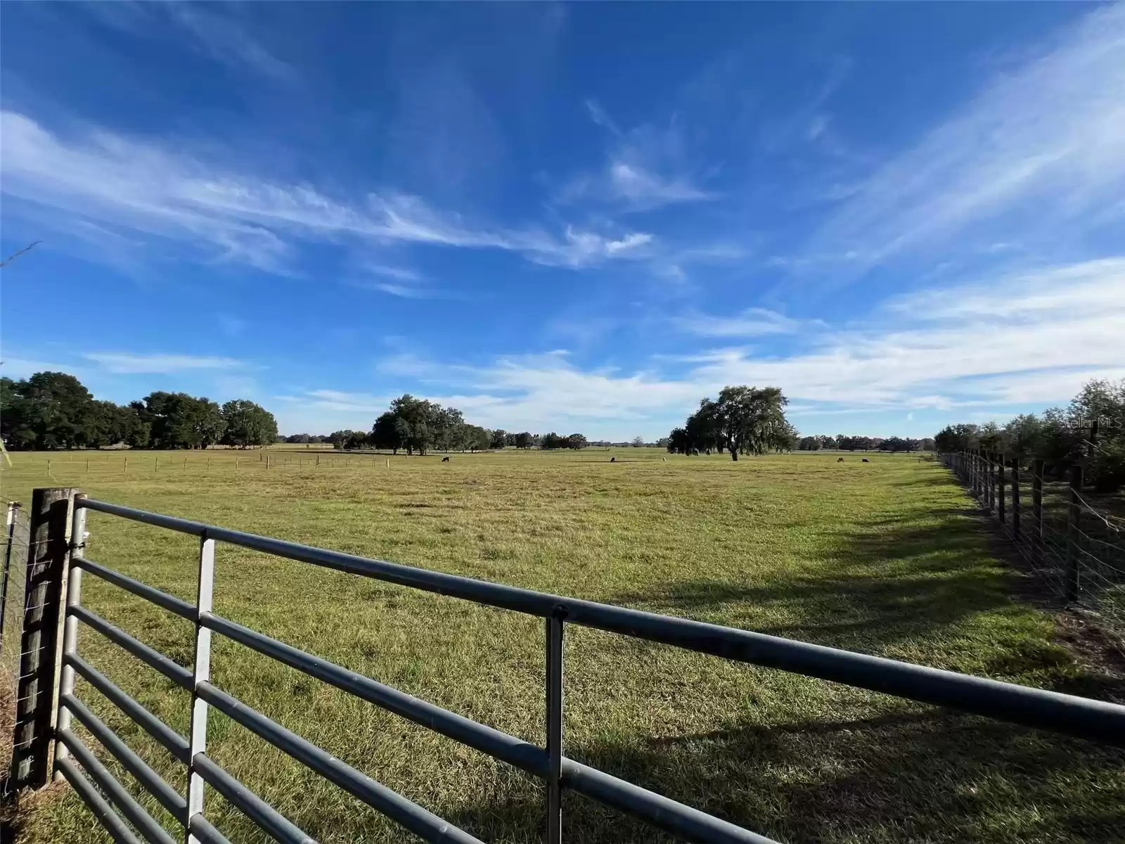 293 JEFFERSON STREET, CENTER HILL, Florida 33514, 2 Bedrooms Bedrooms, ,1 BathroomBathrooms,Residential,For Sale,JEFFERSON,MFRO6160925