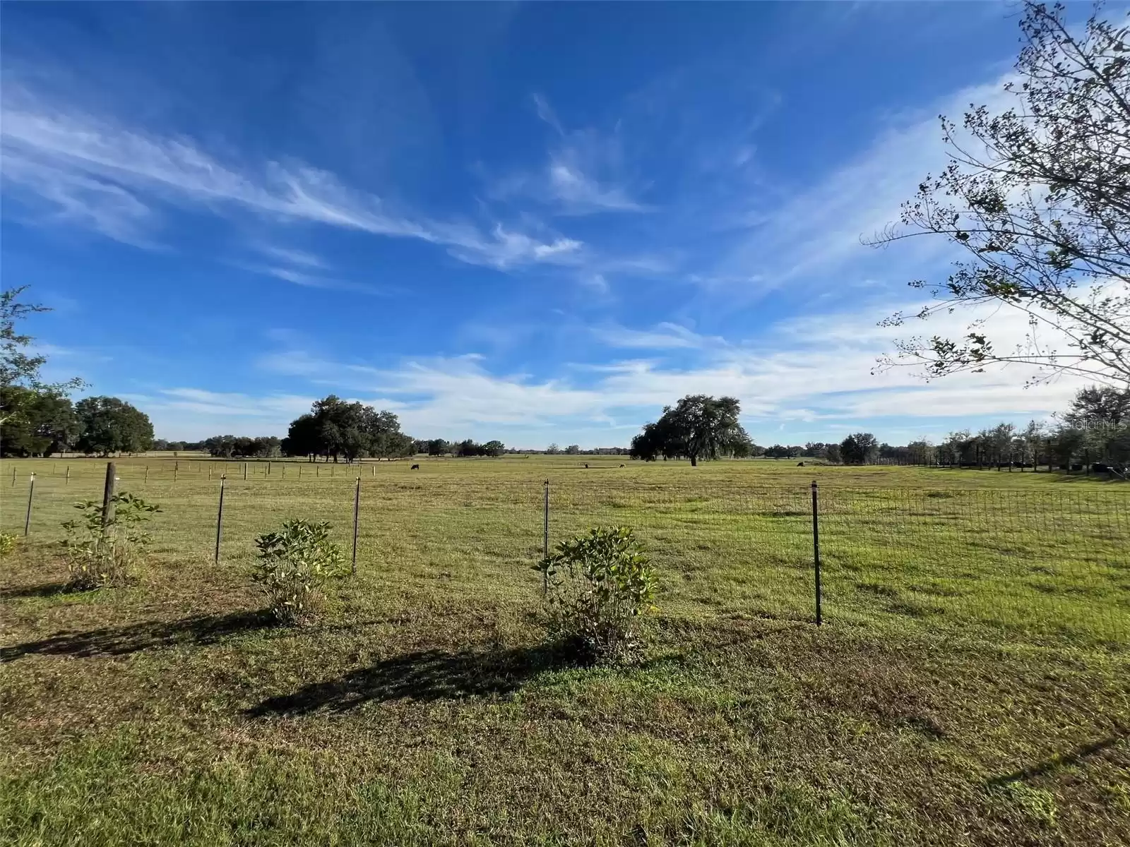 293 JEFFERSON STREET, CENTER HILL, Florida 33514, 2 Bedrooms Bedrooms, ,1 BathroomBathrooms,Residential,For Sale,JEFFERSON,MFRO6160925