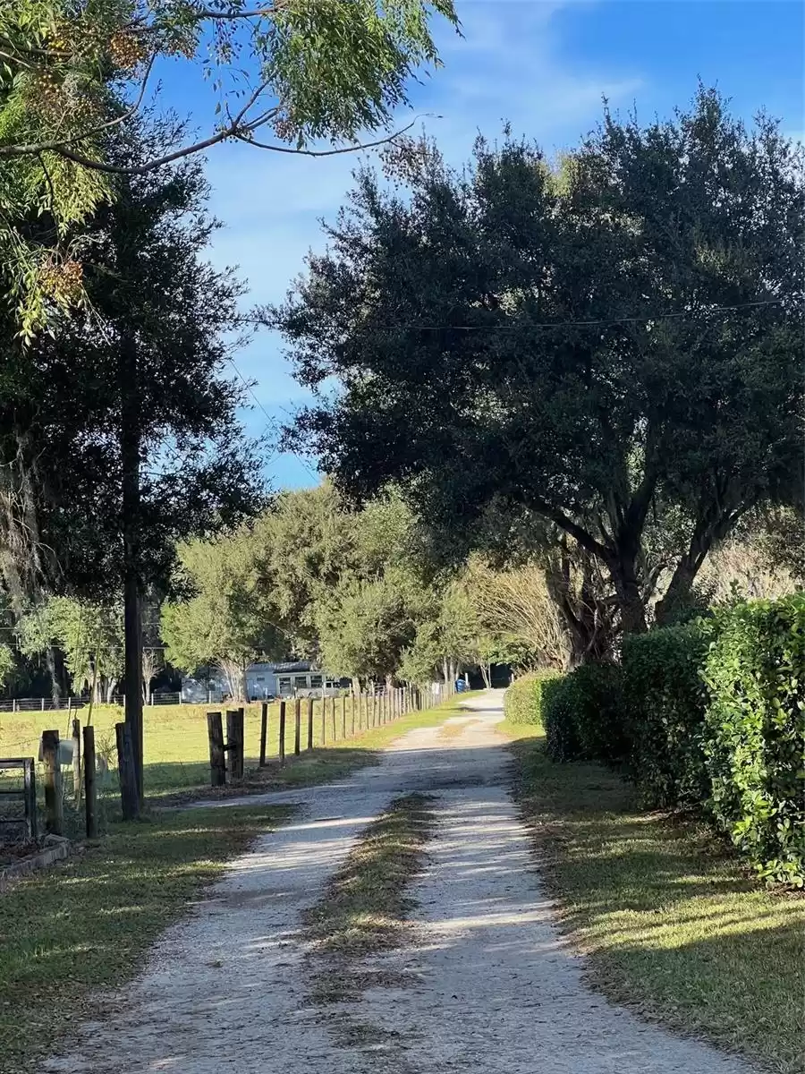 Driveway up to property