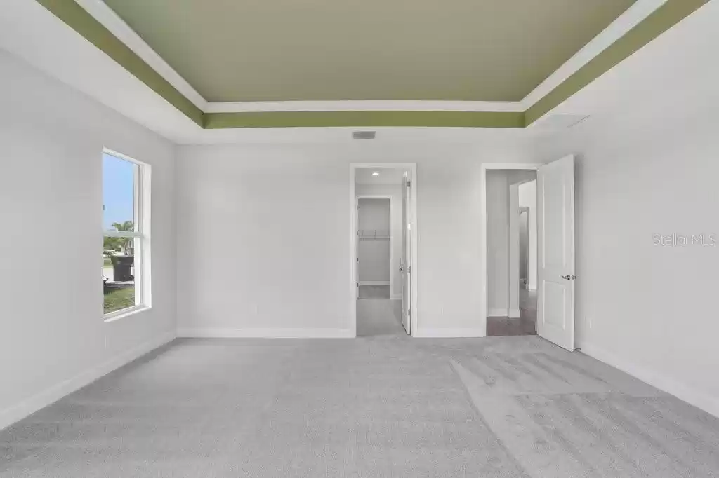 Primary Suite with Trey Ceiling