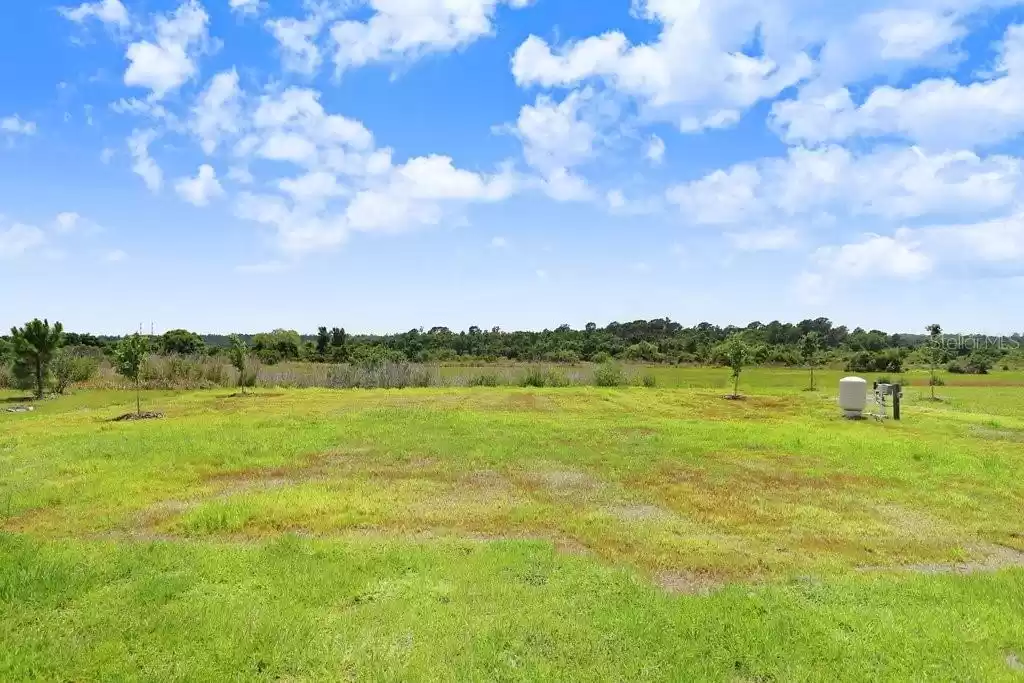 Private Backyard Overlooking Preserve