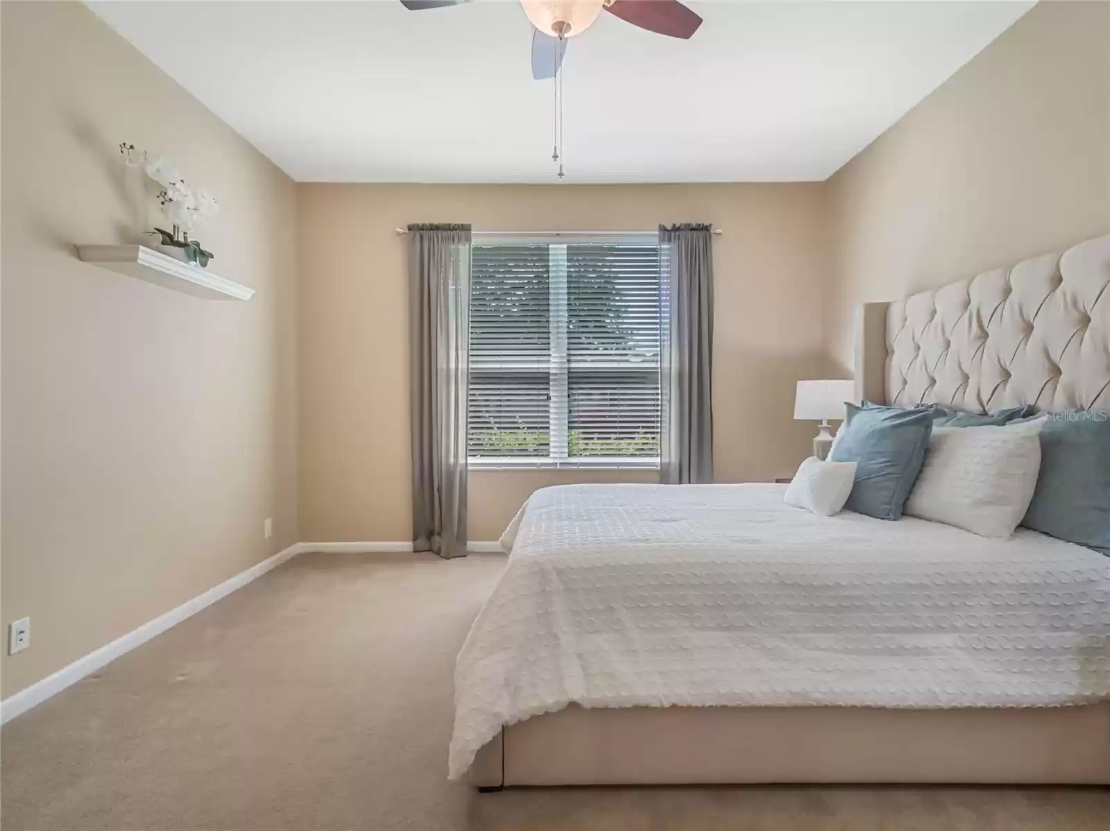 Primary Bedroom w/ plenty of wall space for furniture placement