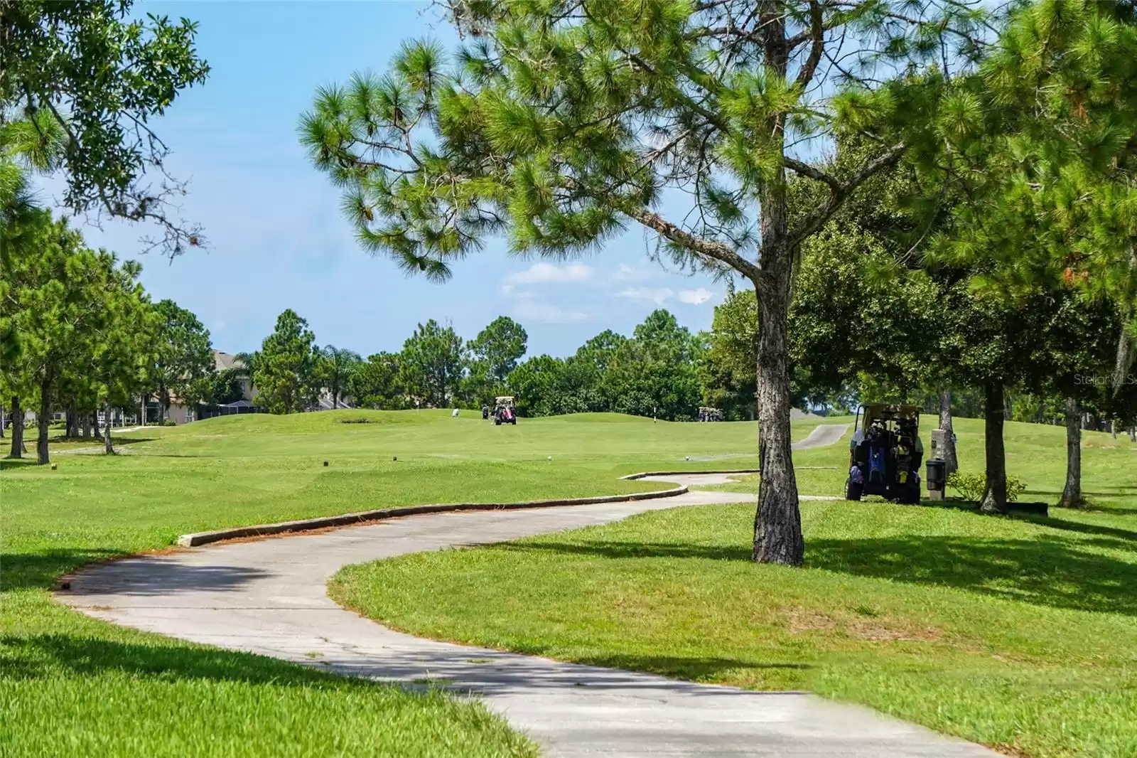 11420 VILLAGE BROOK DRIVE, RIVERVIEW, Florida 33579, 5 Bedrooms Bedrooms, ,3 BathroomsBathrooms,Residential,For Sale,VILLAGE BROOK,MFRT3491720