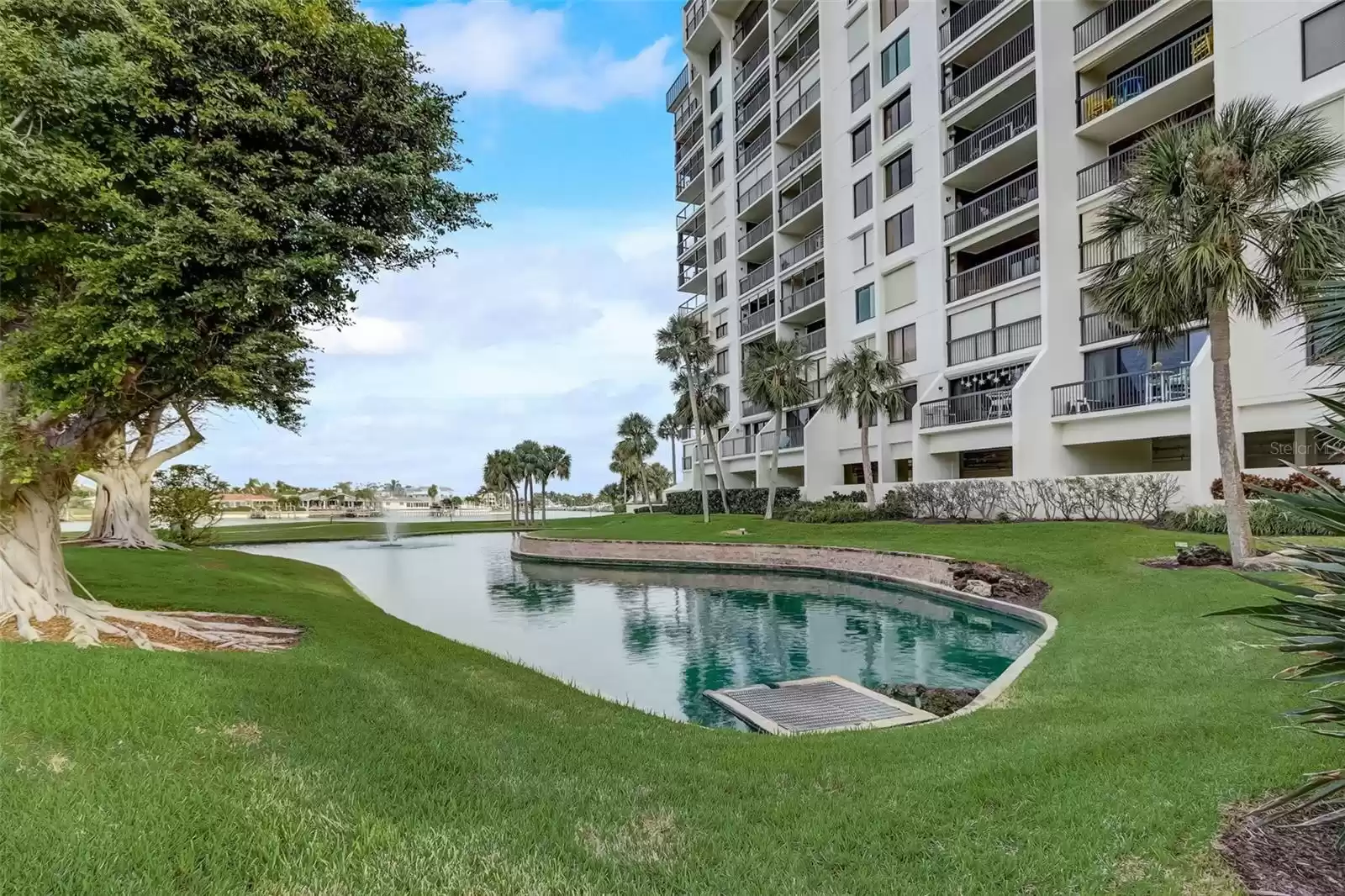 Community pond and fountain