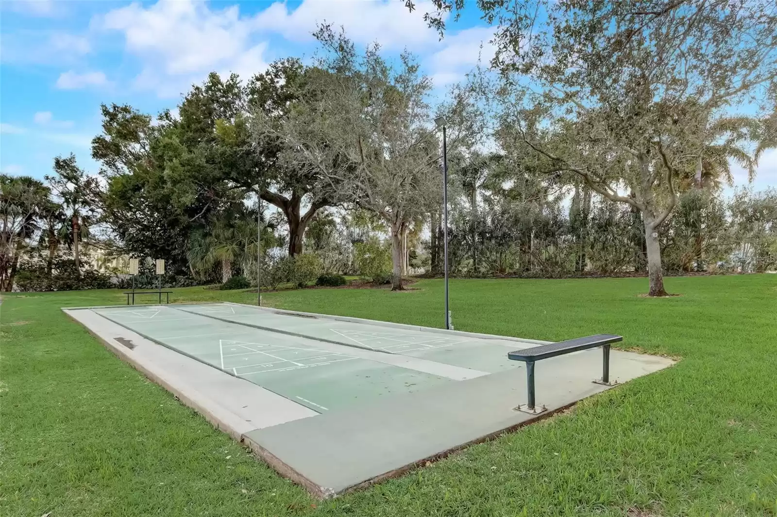 Shuffleboard