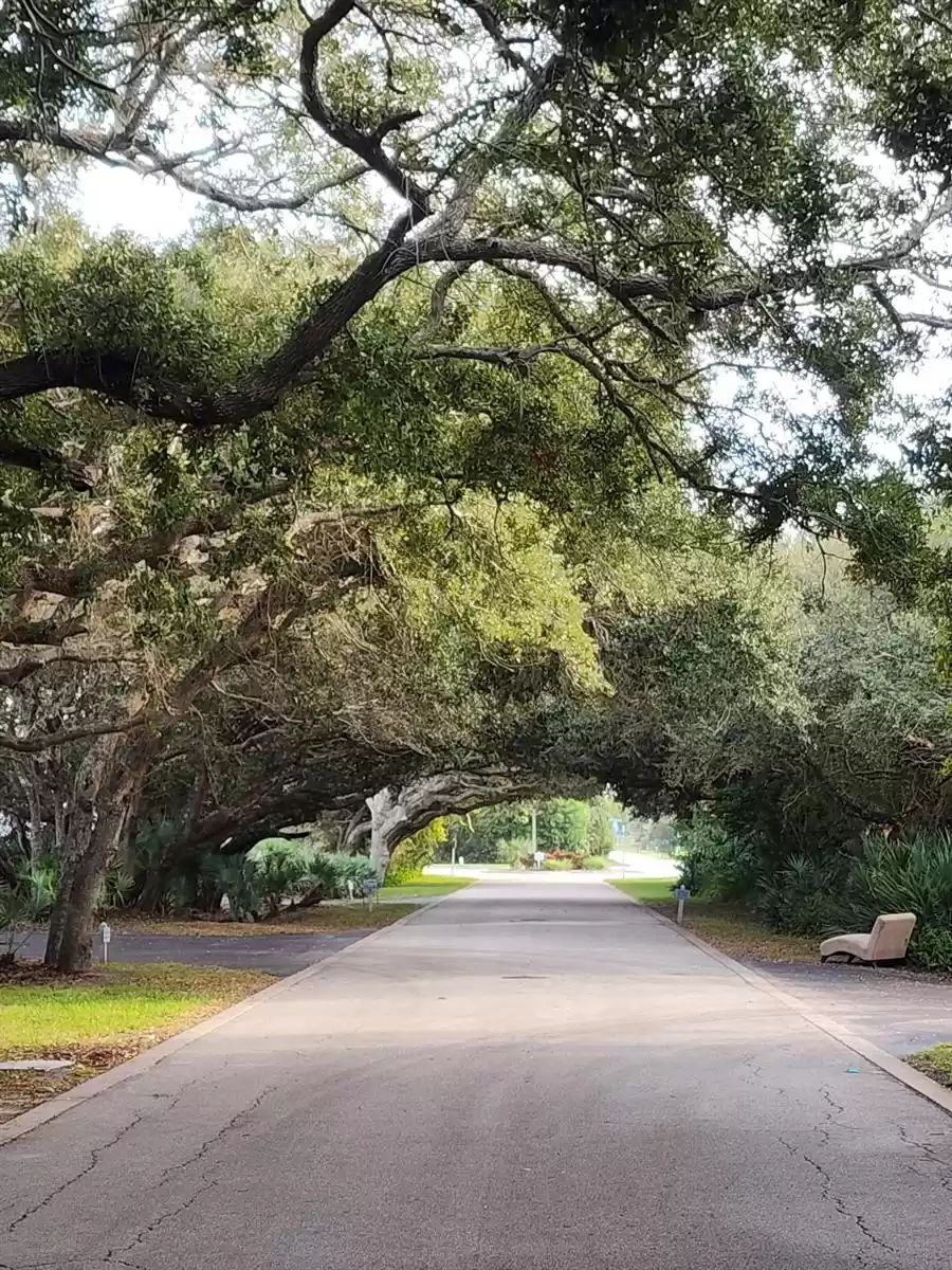 4401 Sea Mist DRIVE, NEW SMYRNA BEACH, Florida 32169, 3 Bedrooms Bedrooms, ,2 BathroomsBathrooms,Residential,For Sale,Sea Mist,MFRNS1078058