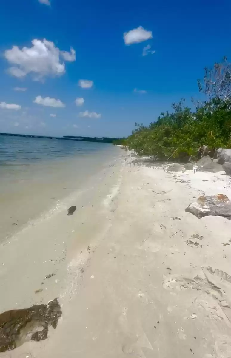 5 mnts away is the public beach on Tampa Bay for jetskis