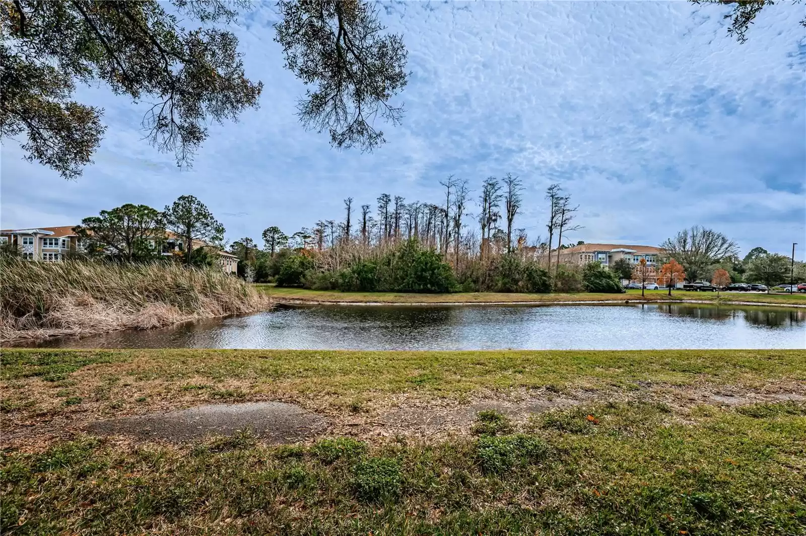 2525 ROYAL PINES CIRCLE, CLEARWATER, Florida 33763, 2 Bedrooms Bedrooms, ,2 BathroomsBathrooms,Residential,For Sale,ROYAL PINES,MFRU8226445