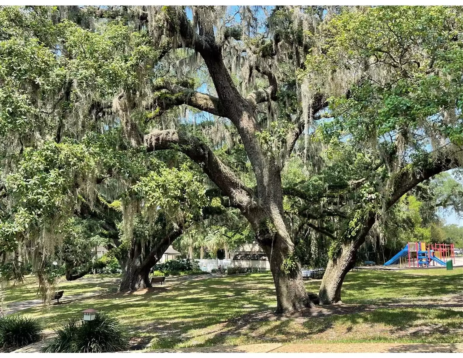 Relax under the canopy of trees down by the springs and recreation area.