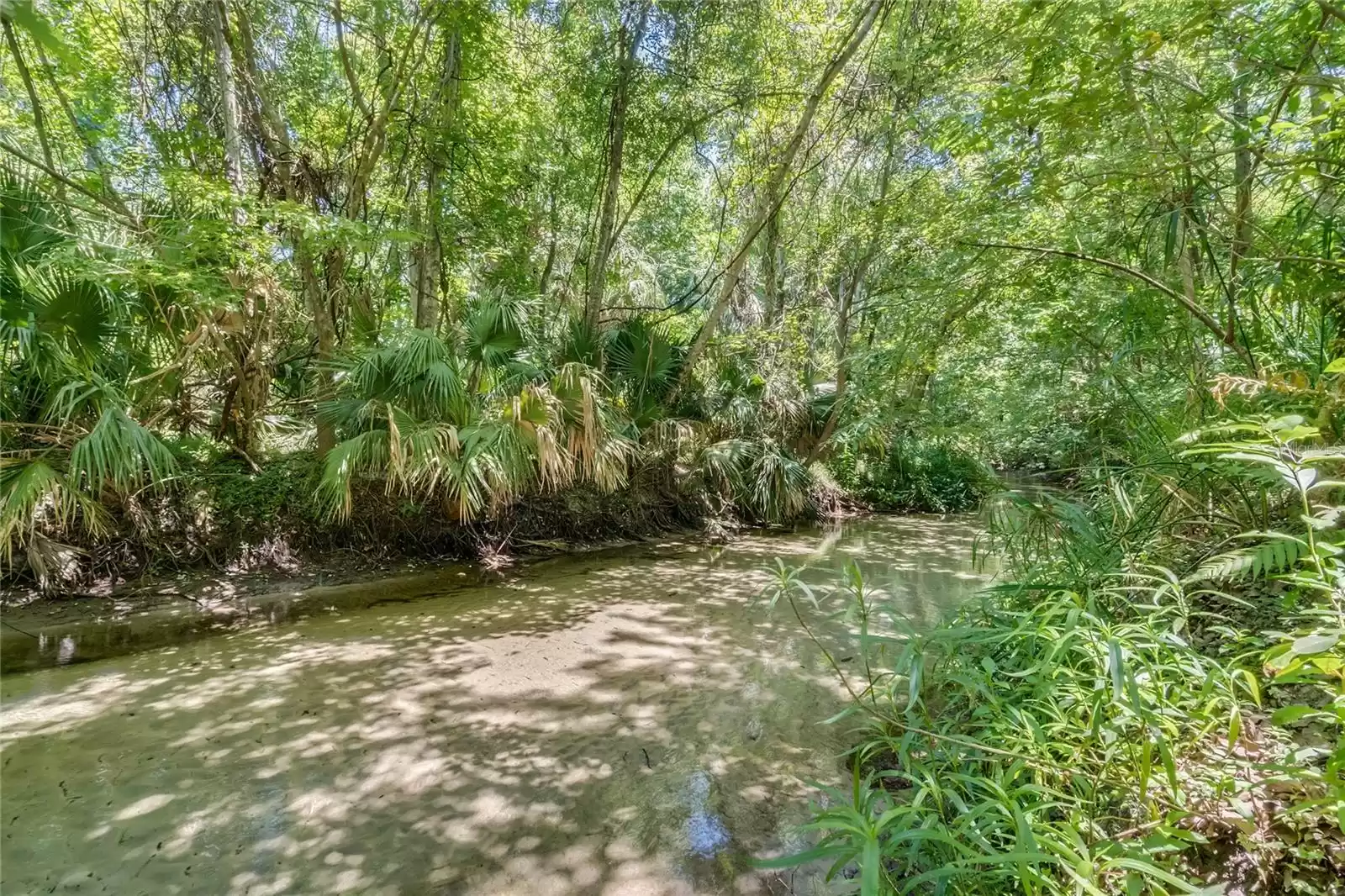 Little wekiva river