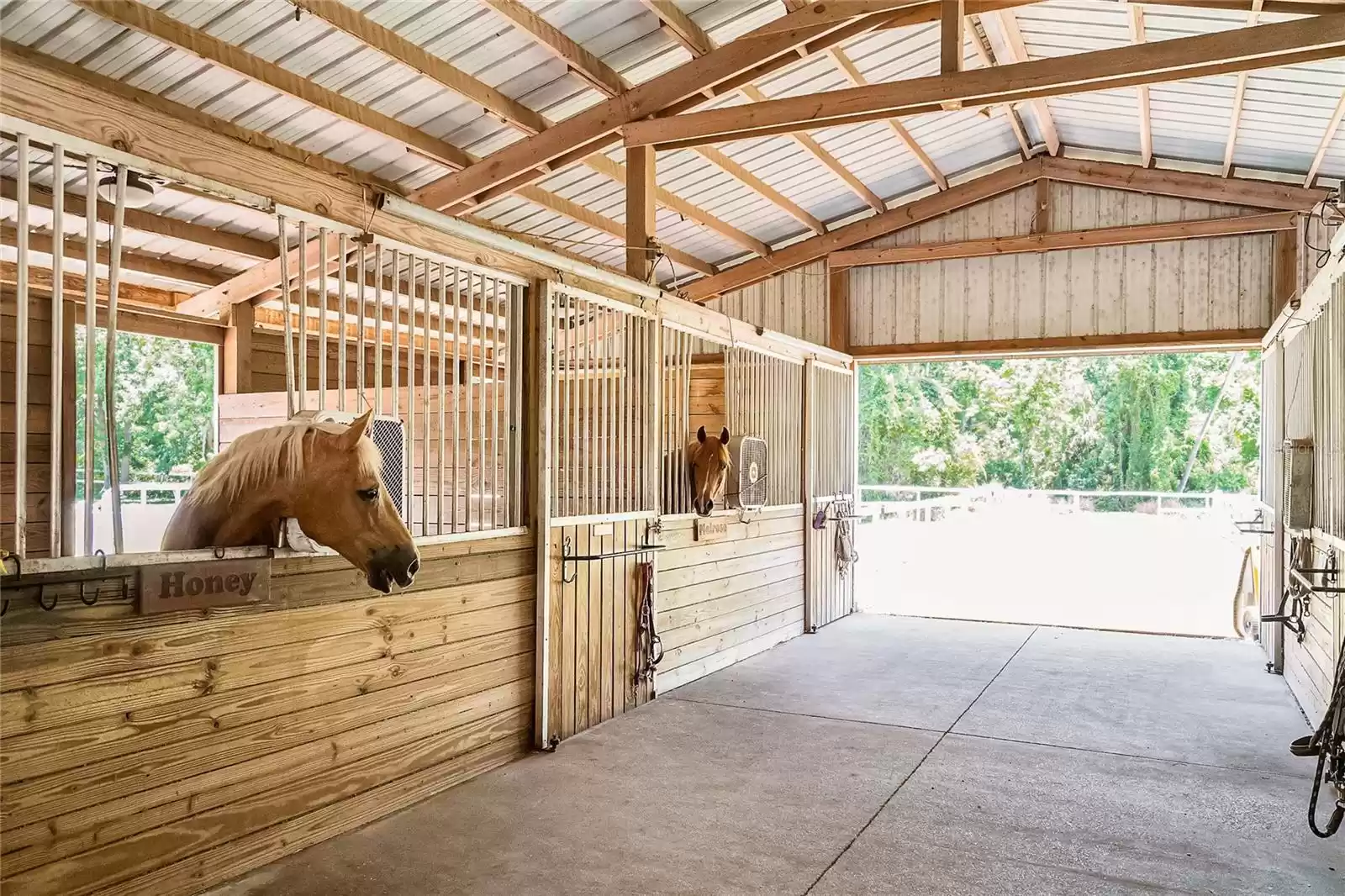 Horse stables right in the neighborhood!!!