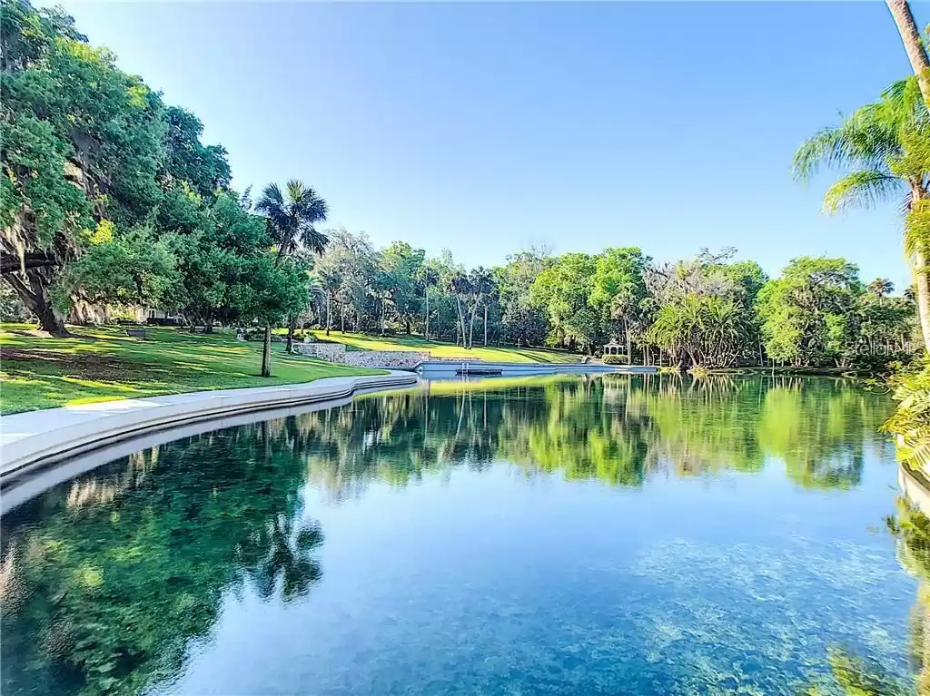 Natural spring in the neighborhood - yours to enjoy year round!