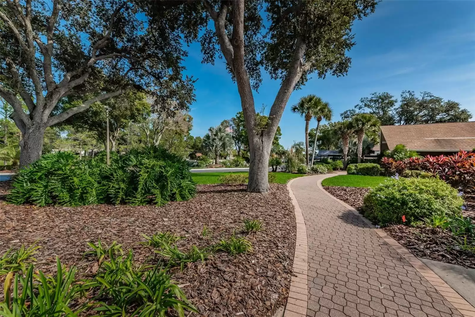 1445 QUEEN ANNE BOULEVARD, PALM HARBOR, Florida 34684, 2 Bedrooms Bedrooms, ,2 BathroomsBathrooms,Residential,For Sale,QUEEN ANNE,MFRU8227432