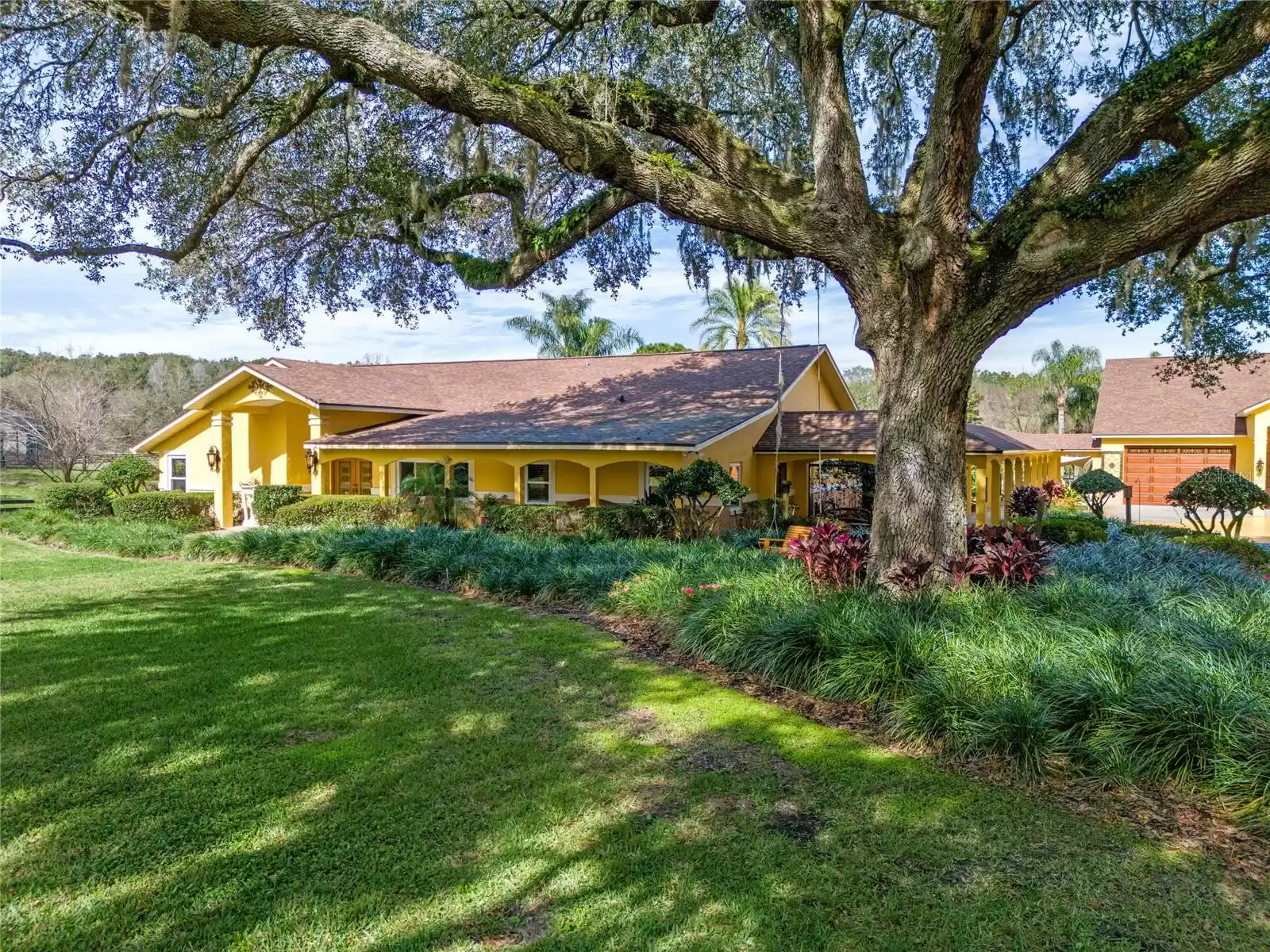 Exterior Front with 100 Plus Year Old Oak Tree