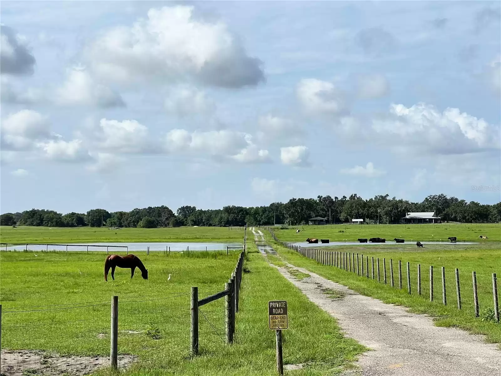 4880 BANNON ISLAND ROAD, HAINES CITY, Florida 33844, 3 Bedrooms Bedrooms, ,2 BathroomsBathrooms,Residential,For Sale,BANNON ISLAND,MFRP4924241