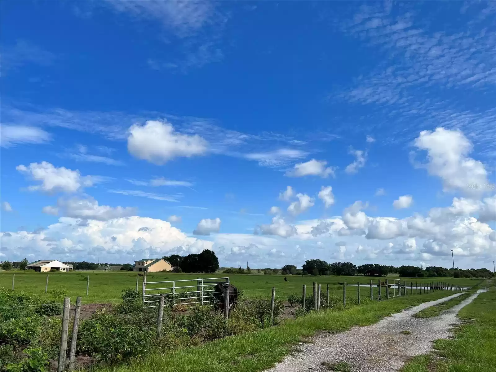 4880 BANNON ISLAND ROAD, HAINES CITY, Florida 33844, 3 Bedrooms Bedrooms, ,2 BathroomsBathrooms,Residential,For Sale,BANNON ISLAND,MFRP4924241