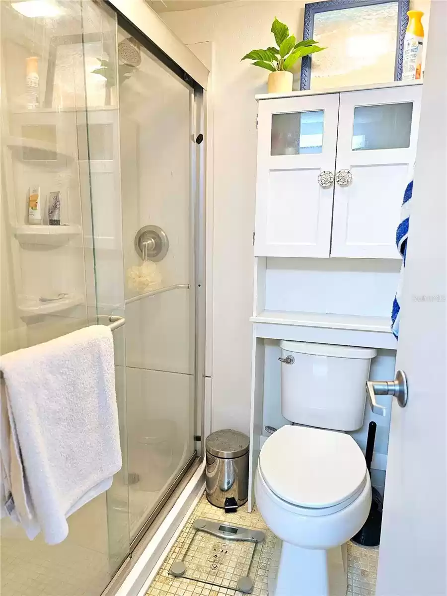 C314 Walk-in Shower