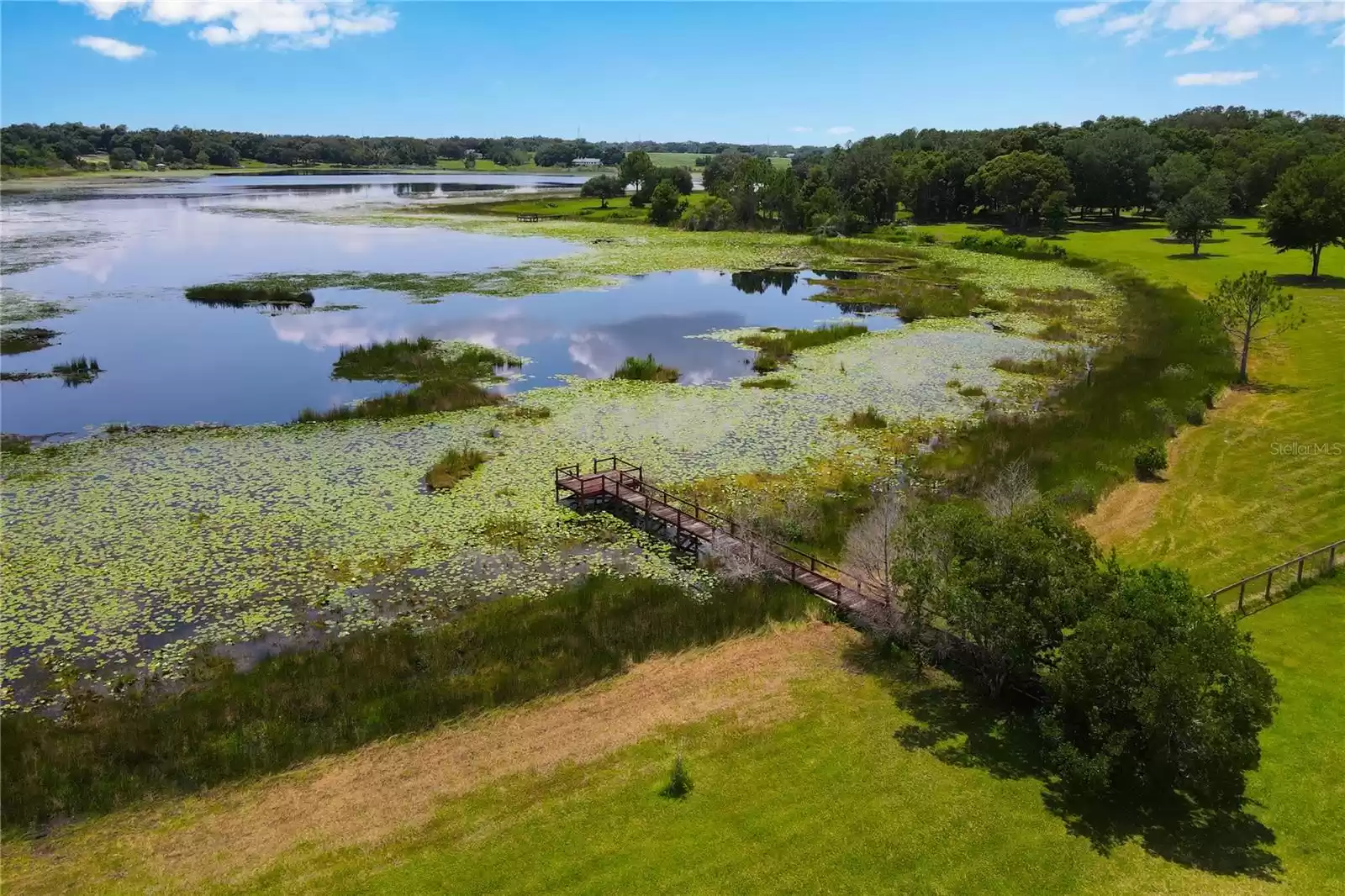 Lake Minneola