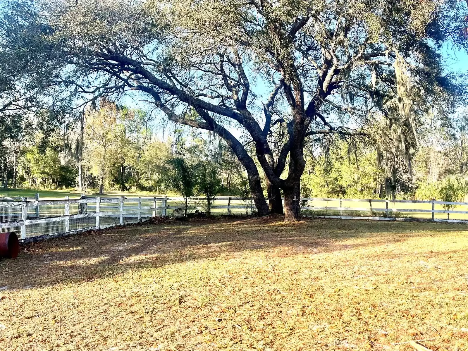 290 LAKE DRIVE, OVIEDO, Florida 32765, 4 Bedrooms Bedrooms, ,3 BathroomsBathrooms,Residential,For Sale,LAKE,MFRO6176869