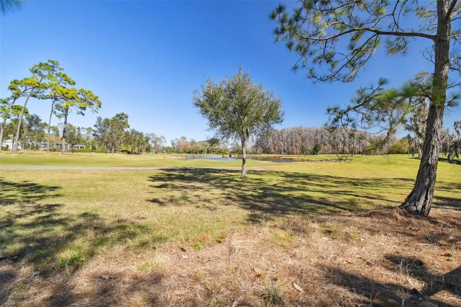 5132 PINELAKE ROAD, WESLEY CHAPEL, Florida 33543, 4 Bedrooms Bedrooms, ,3 BathroomsBathrooms,Residential,For Sale,PINELAKE,MFRT3503527