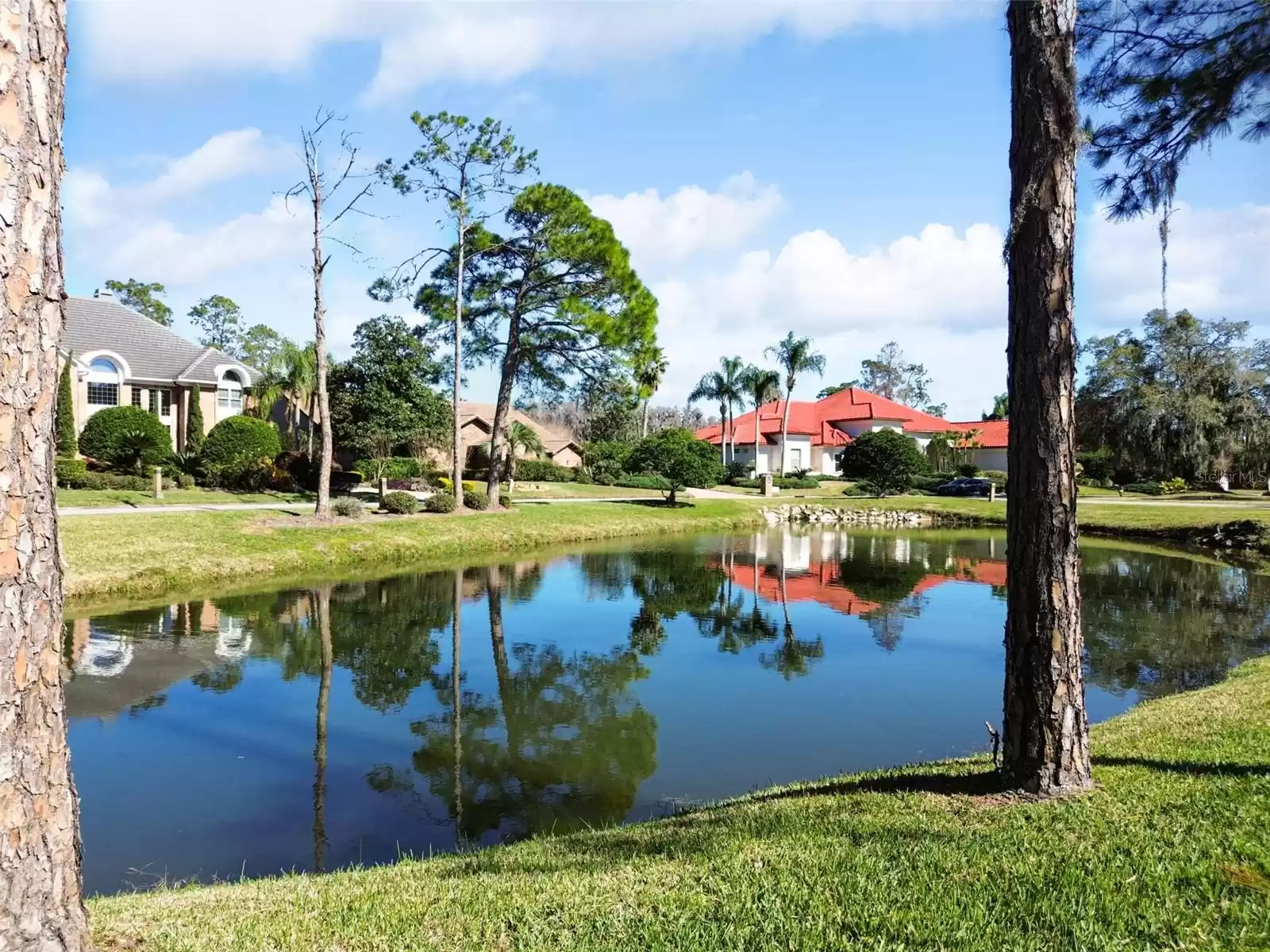 5132 PINELAKE ROAD, WESLEY CHAPEL, Florida 33543, 4 Bedrooms Bedrooms, ,3 BathroomsBathrooms,Residential,For Sale,PINELAKE,MFRT3503527