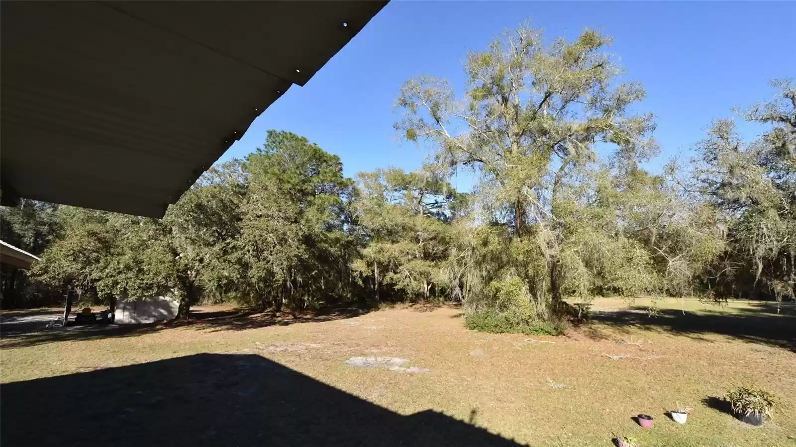 View from Back porch