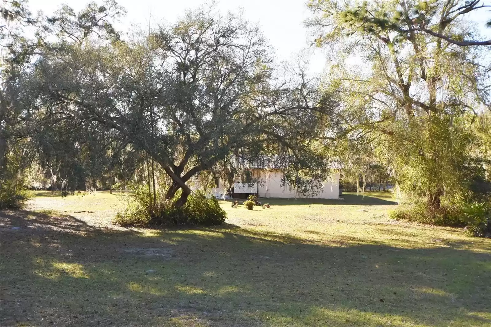 Back of house from yard