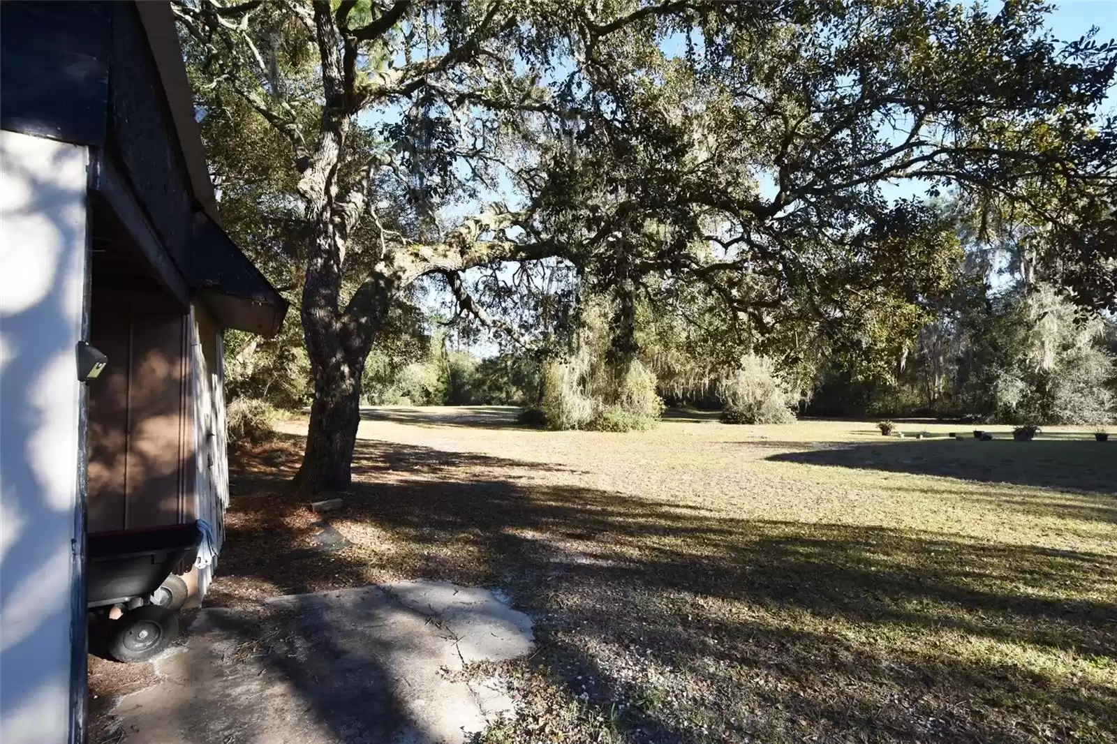 View of back yard from Shed