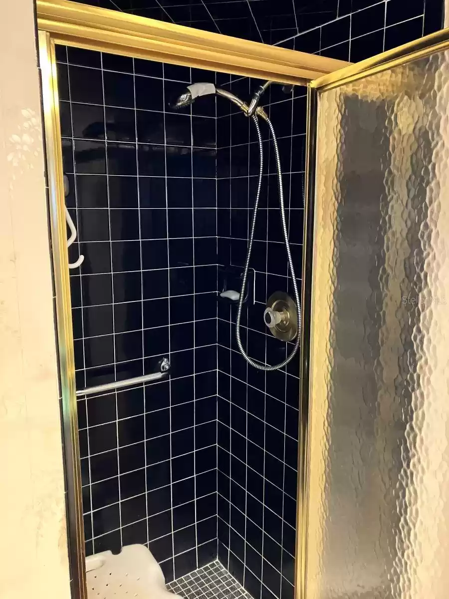 Primary bathroom shower