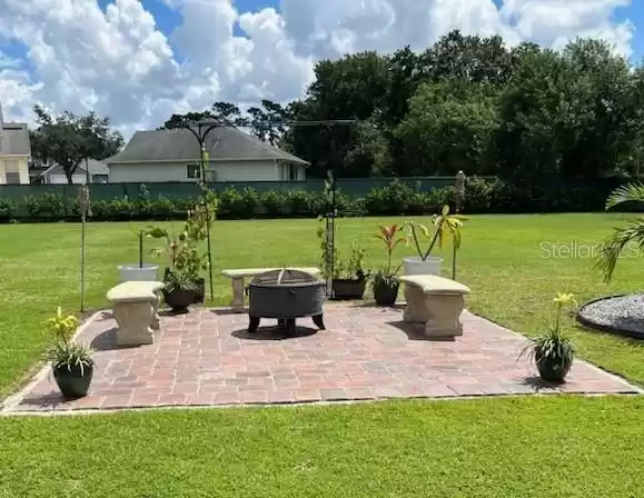 Fire Pit with your own Grape Vines!