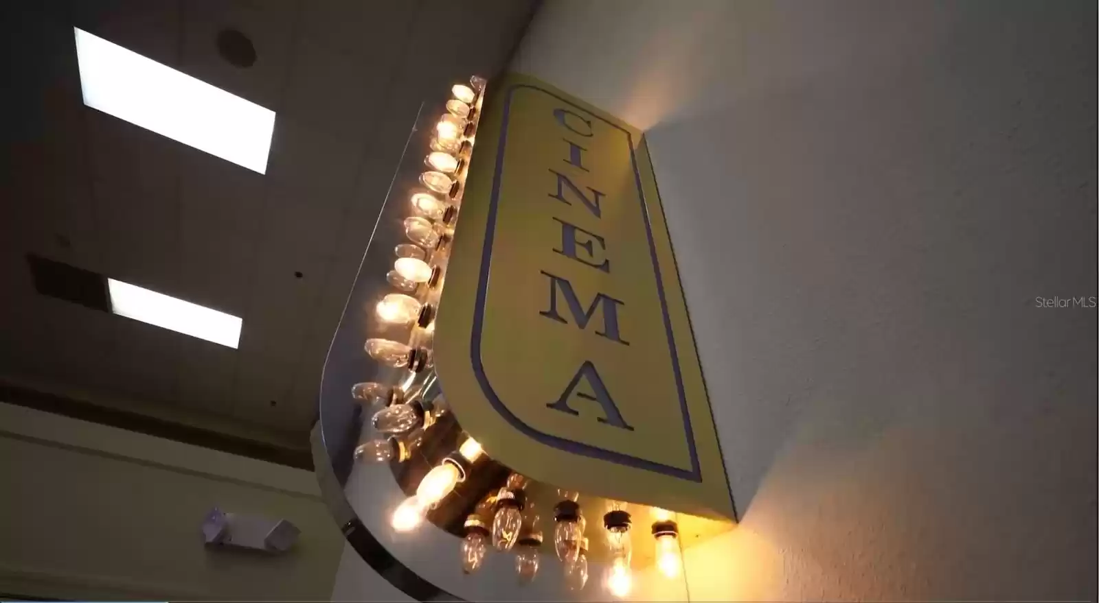 Cinema