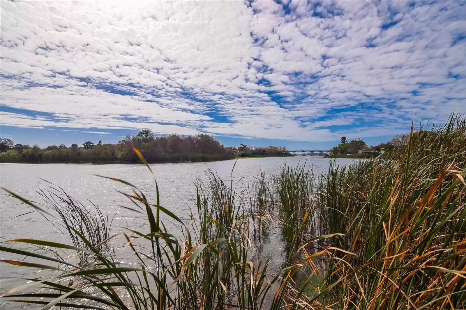 Lake Seminole