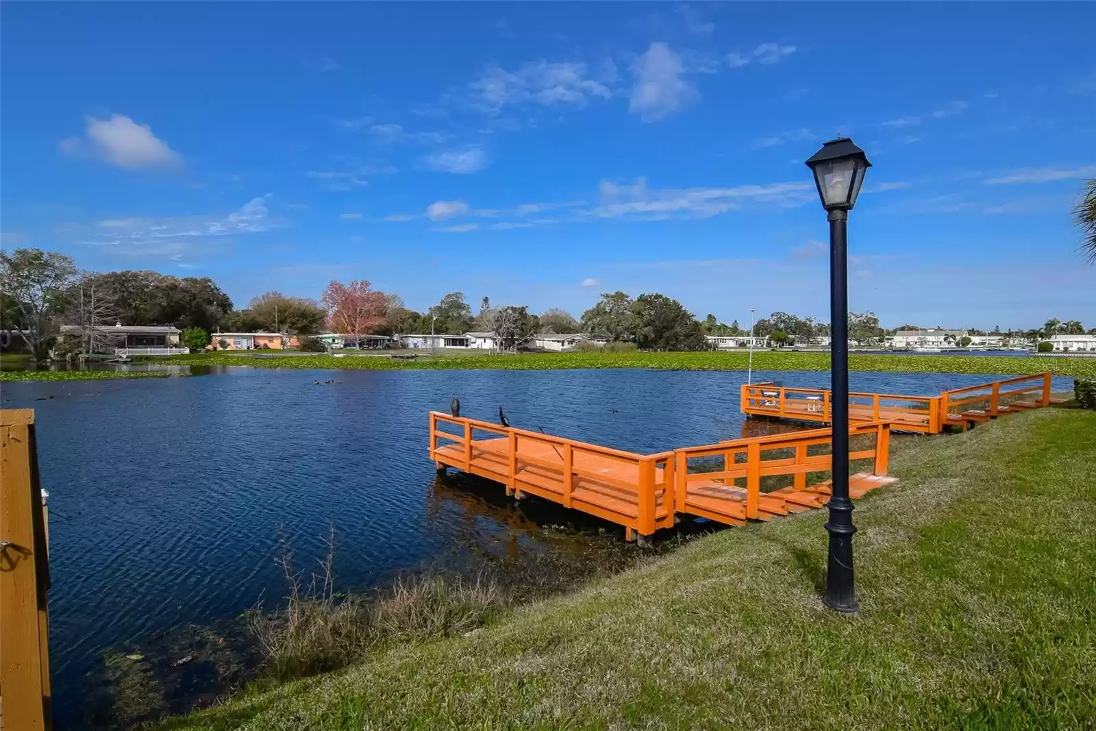 Lake Seminole