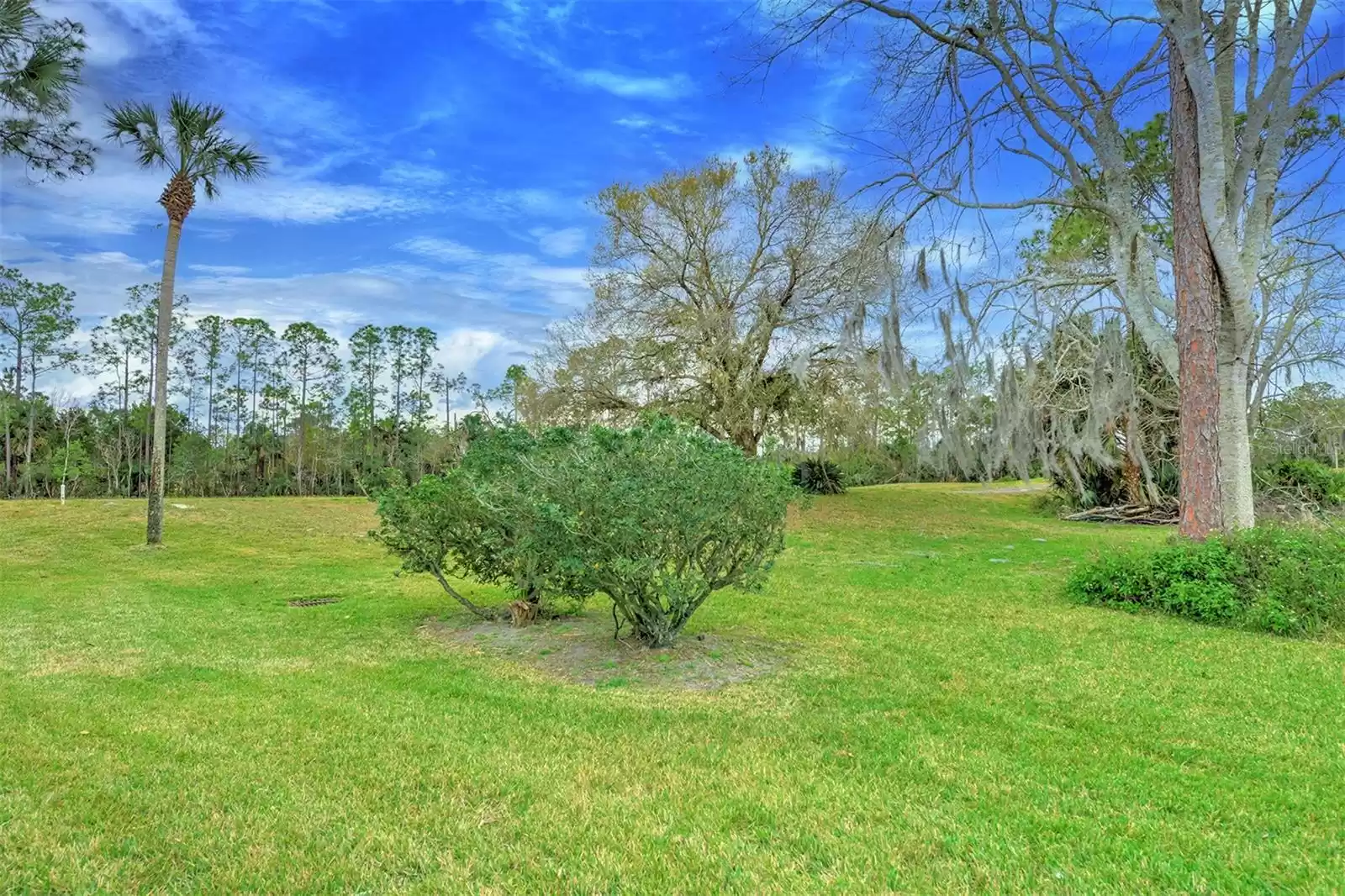 Backyard to Golf Course