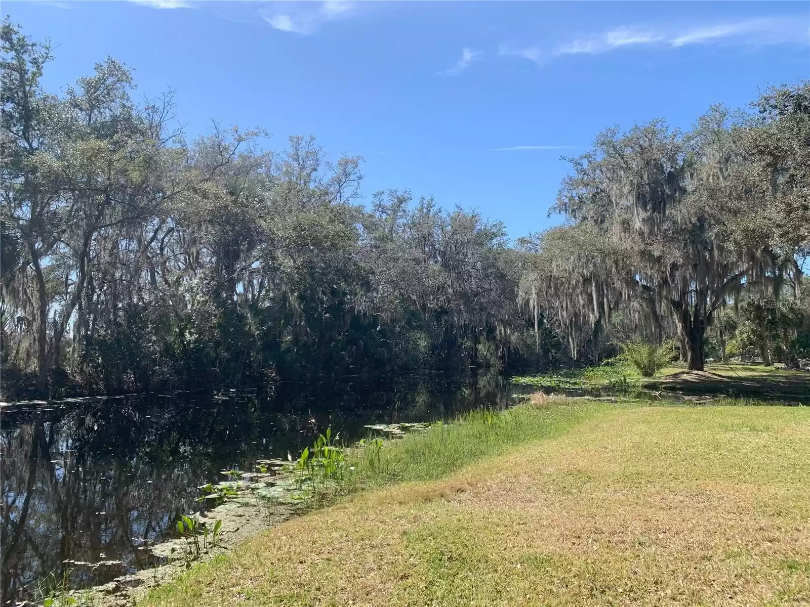 7938 JACKSON RIVER ROAD, LEESBURG, Florida 34788, 3 Bedrooms Bedrooms, ,2 BathroomsBathrooms,Residential,For Sale,JACKSON RIVER,MFRG5078880