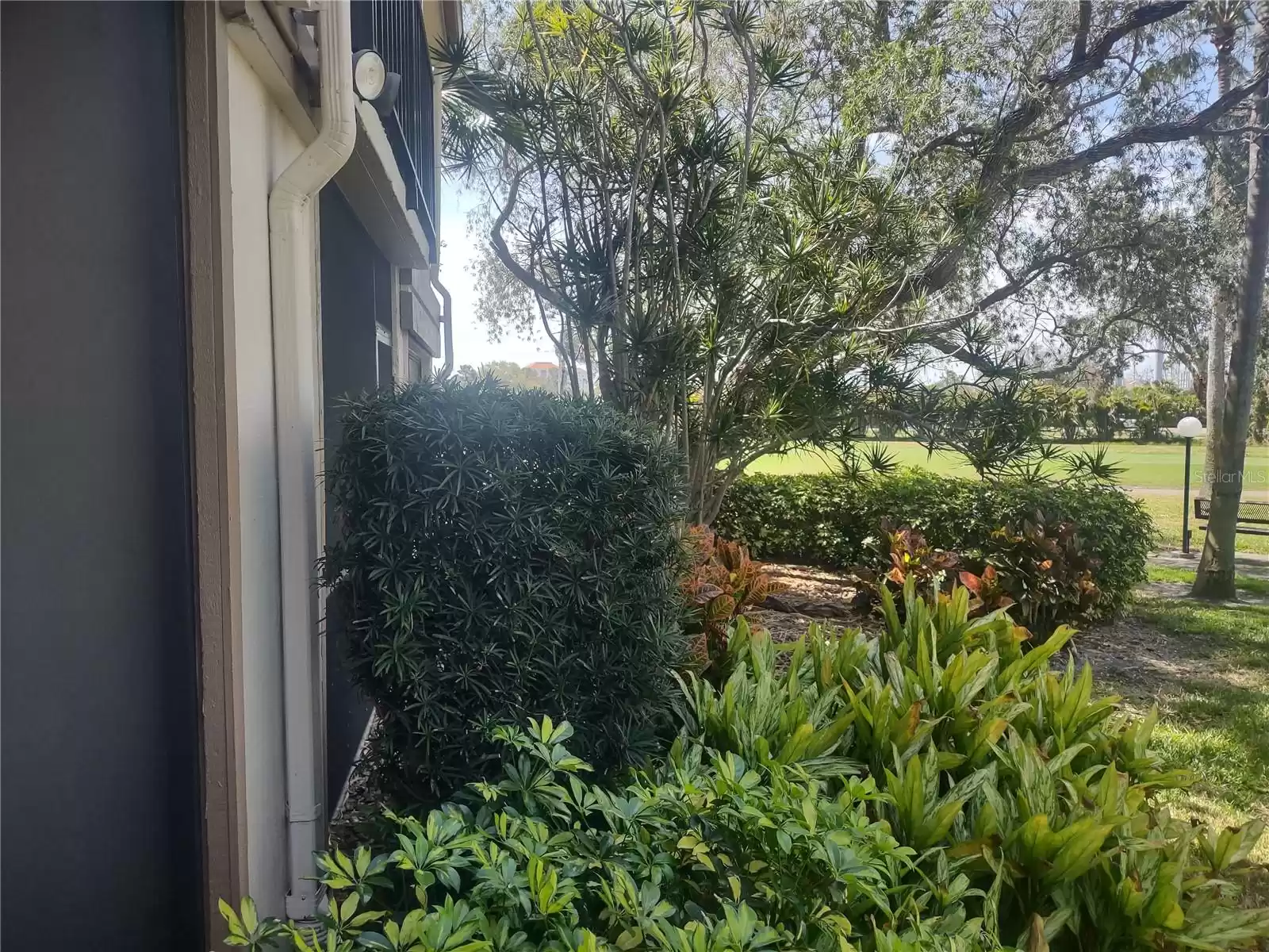 View to left from just outside the screened patio