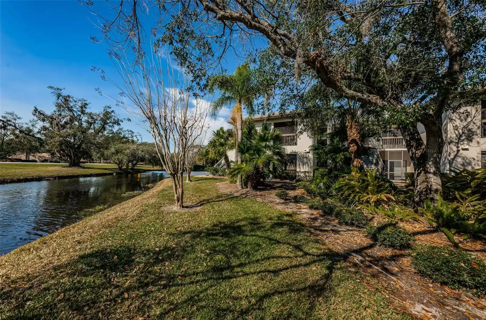 3358 MERMOOR DRIVE, PALM HARBOR, Florida 34685, 2 Bedrooms Bedrooms, ,2 BathroomsBathrooms,Residential,For Sale,MERMOOR,MFRU8226364