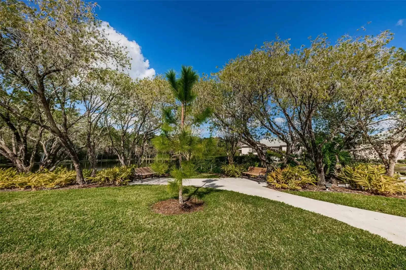 3358 MERMOOR DRIVE, PALM HARBOR, Florida 34685, 2 Bedrooms Bedrooms, ,2 BathroomsBathrooms,Residential,For Sale,MERMOOR,MFRU8226364